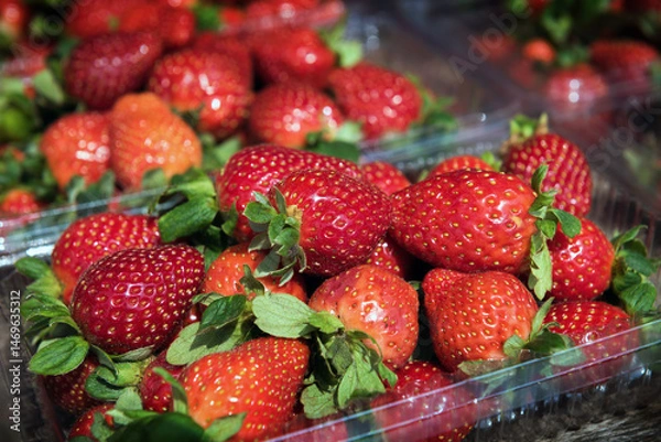 Fototapeta Fresh Ripe Strawberries Close-Up - A vibrant close-up shot of freshly picked ripe strawberries