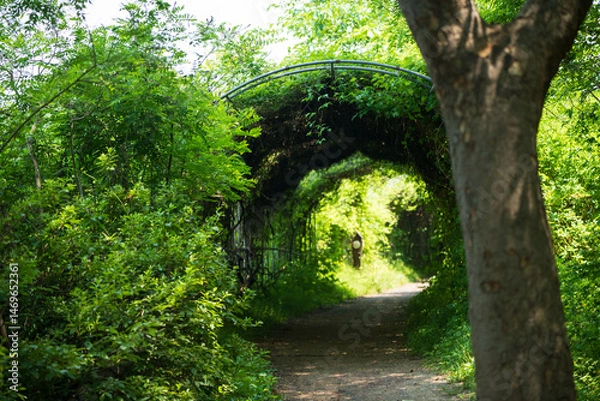 Fototapeta Enchanting Green Tunnel Path in Lush Forest