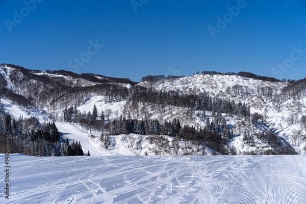 Obraz snow covered mountains