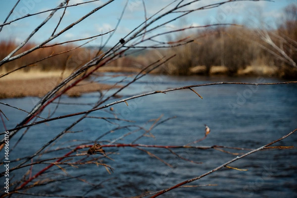 Obraz Fast flowing river in spring. Siberia