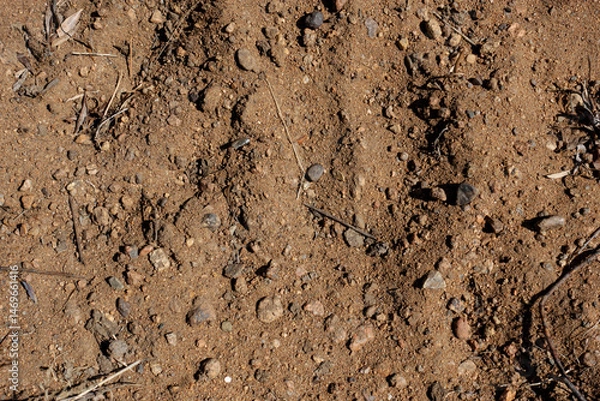 Obraz sand and pebbles full frame 