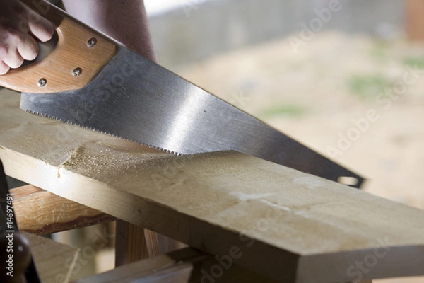 Obraz carpenter cuts a plank with a saw