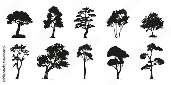 Obraz Tree Silhouettes Collection. Diverse Tree Shapes For Design And Decoration. Isolated Vector Illustration Collection