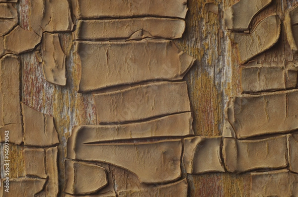 Fototapeta background of aged and weathered textured wooden planks with old paint