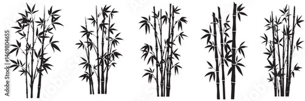 Obraz set of a bamboo silhouette vector design, bamboo tree branches icon vector illustration