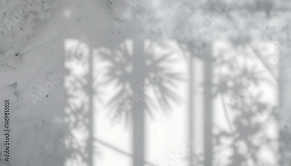 Fototapeta Tropical Palm Tree Shadow Overlay On White Wall Texture Backdrop