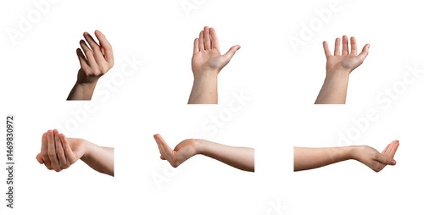 Obraz Hand with soft, clean skin holding an open, inviting gesture, offering and receiving in a gentle,