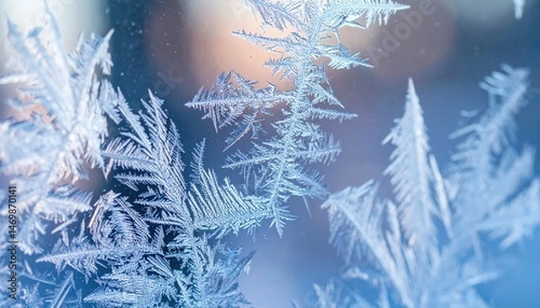 Fototapeta Delicate frost patterns winter wonderland macro photography icy environment close-up view nature's artwork