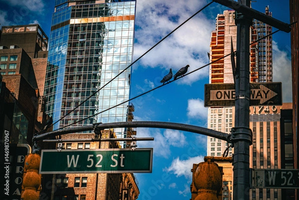 Fototapeta 高層ビルと鳩の街角