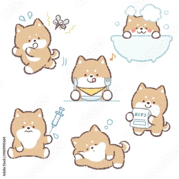 Obraz 柴犬バリエーションセット