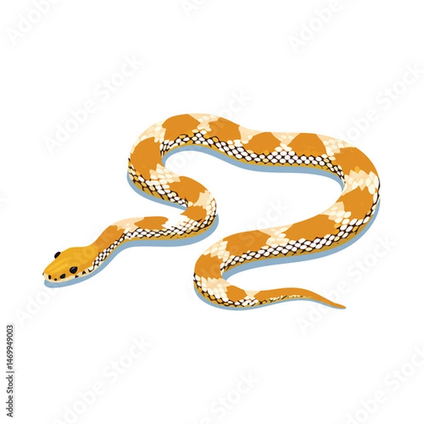 Fototapeta Western Hognose Snake Vector Illustration with Flat Design, Clean Line Art, and Modern Minimalist AestheticArt.