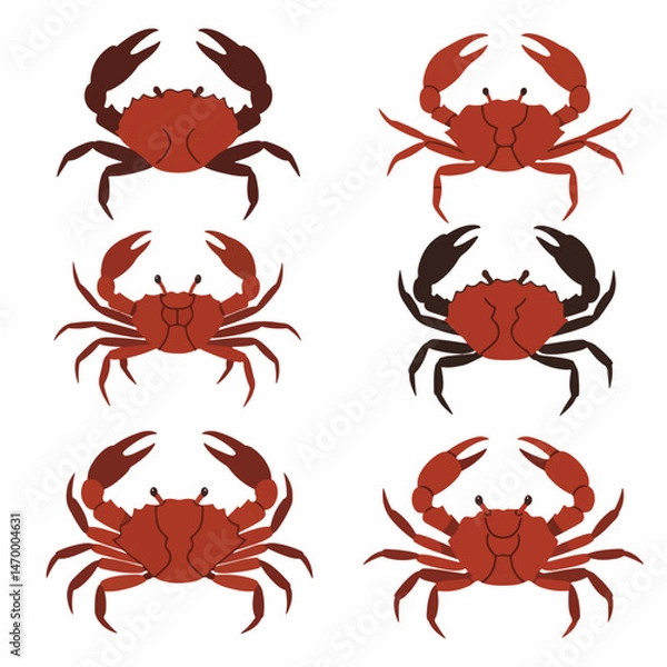 Fototapeta Crab Illustration Collection: A set of six vector illustrations depicting various poses of a red crab, showcasing its distinctive features in both red and black silhouettes.