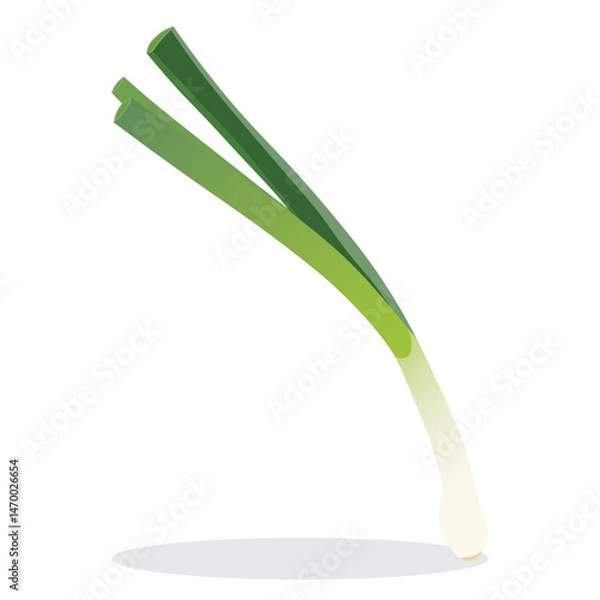Fototapeta Vector illustration of green onion isolated on white background
