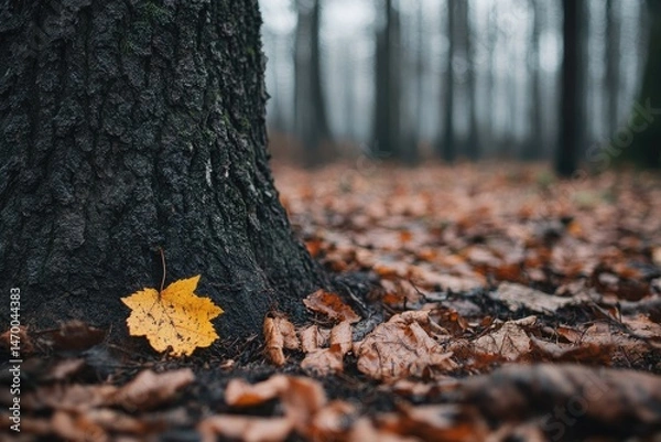 Fototapeta Autumn leaf at base of tree