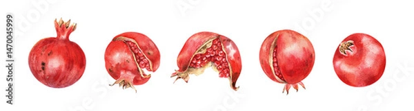 Fototapeta Juicy red pomegranates watercolor clip art. Hand drawn illustration isolated on white. Tropical ripe fruits. For floral design, stickers, summer decor, cards, prints.