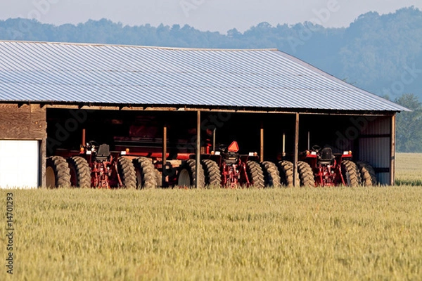 Obraz Zaparkowane ciągniki i pole pszenicy