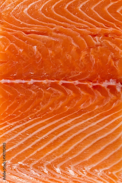 Obraz salmon fillet close up