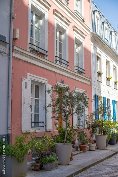 Fototapeta La rue Crémieux dans les rues de Paris en France, avec ses maisons colorées 