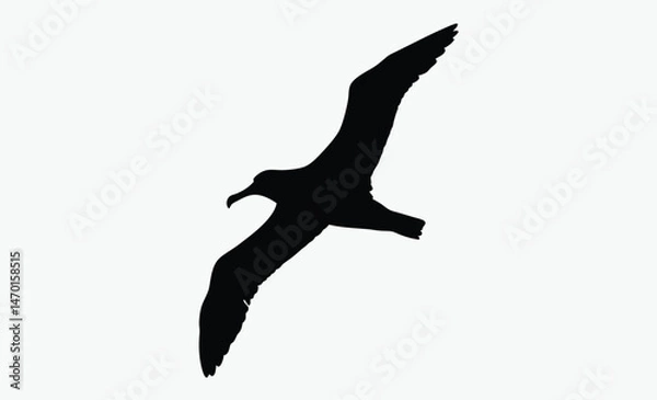 Fototapeta albatross bird silhouette, flying seabird vector, wide wingspan shape, black white albatross, ocean bird outline