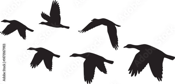 Obraz Flying Geese Silhouette