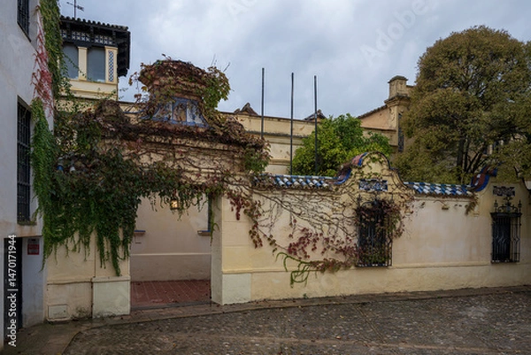Fototapeta A typical facade of a building in the Andalusian town of Ronda, in southern Spain.  Ivy can be seen climbing over the wall, giving it a rustic look