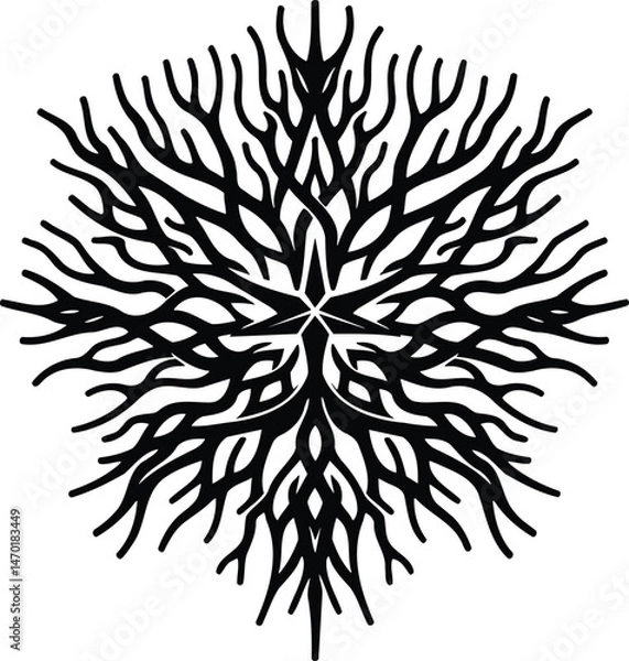 Obraz Intricate sea star vector