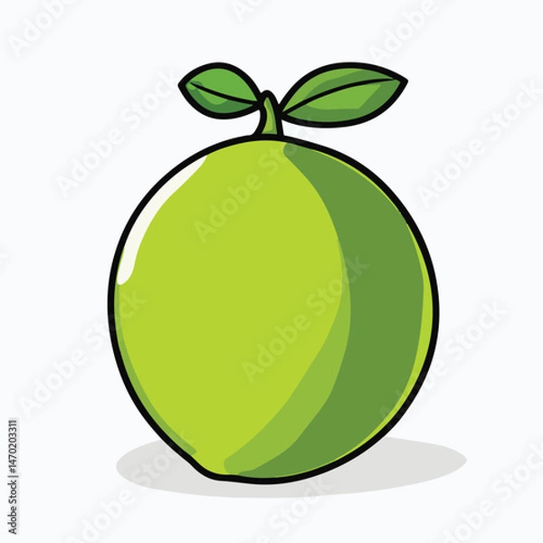 Fototapeta Cartoon Style Fresh Green Lime Isolated On White Background Vector Illustration