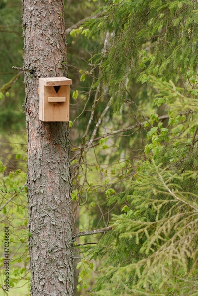 Fototapeta A birdcage is attached to a tree in the forest