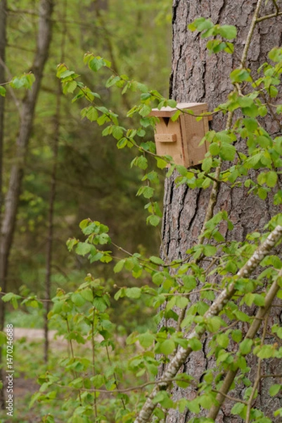 Fototapeta A birdcage is attached to a tree in the forest