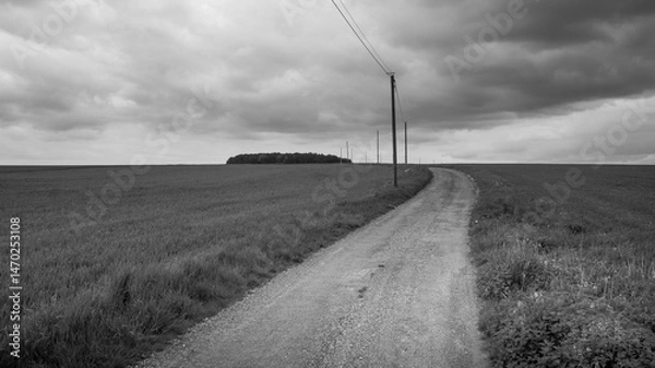 Fototapeta route partant à l'horizon. Paysage minimaliste en noir et blanc