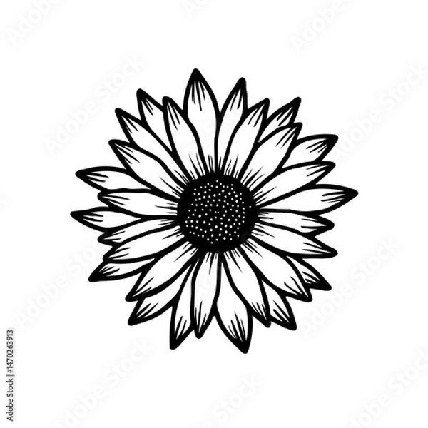 Obraz Striking monochrome portrayal of a sunflower, intricate line work and detail