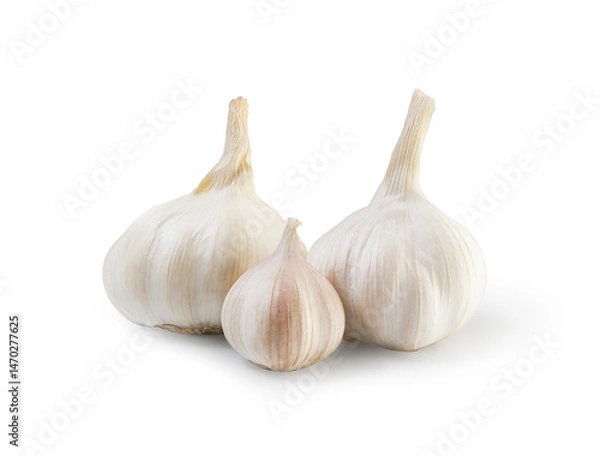 Fototapeta Garlic bulb and clove isolated. Garlic bulbs with sliced cloves on white background. White garlic bulb composition. With clipping path. Full depth of field.
