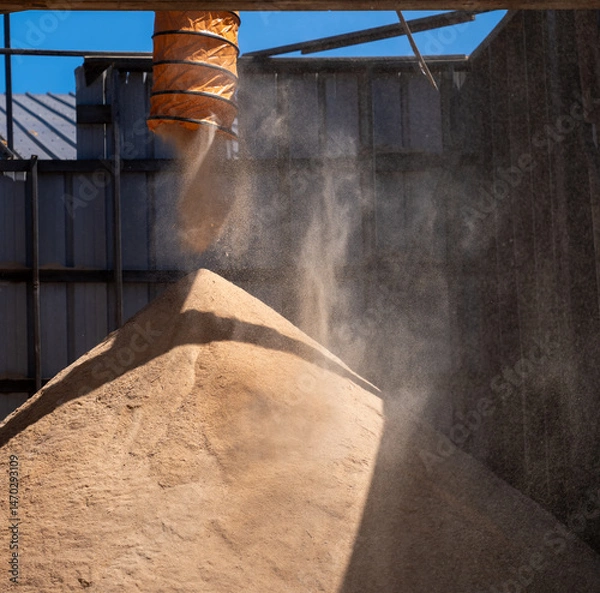 Fototapeta aggregate sawdust in a loose pile with wind blown particulate 