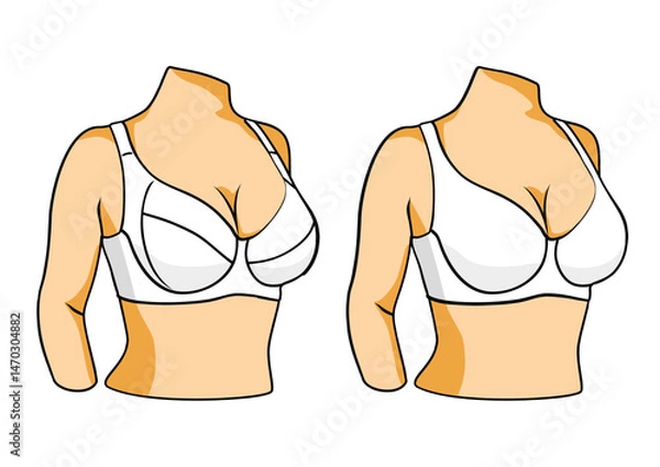 Fototapeta Two types of bra on a mannequin