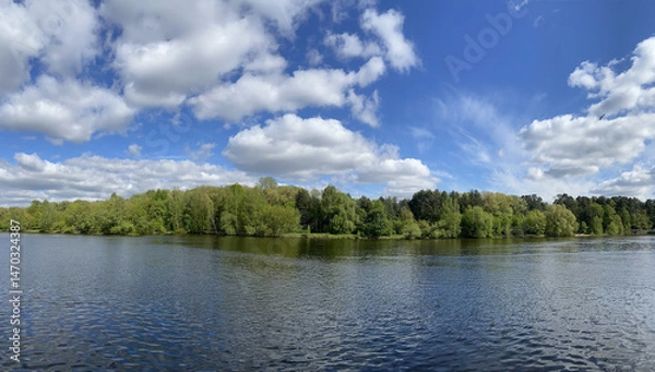Obraz Beautiful panoramic landscape with green deciduous forest after river under blue sky with white clouds in bright sunny day
