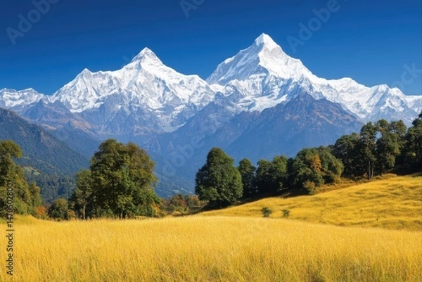 Fototapeta Scenic view of snow capped mountains with golden field for travel and tourism purposes