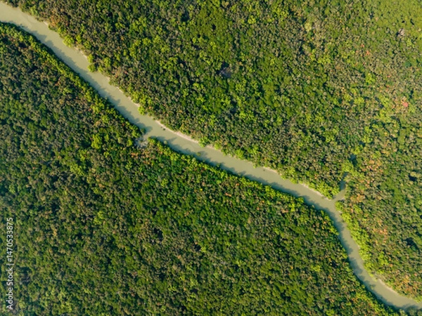 Fototapeta Top-Down Drone View of a Narrow River Flowing Through the Sundarbans Mangrove Forest in Khulna, Bangladesh