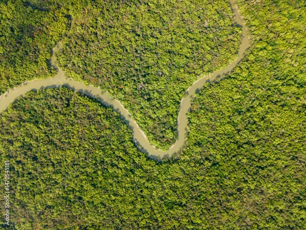 Fototapeta Top-Down Aerial View of Meandering River Through Dense Mangrove Forest in Sundarbans, Khulna, Bangladesh