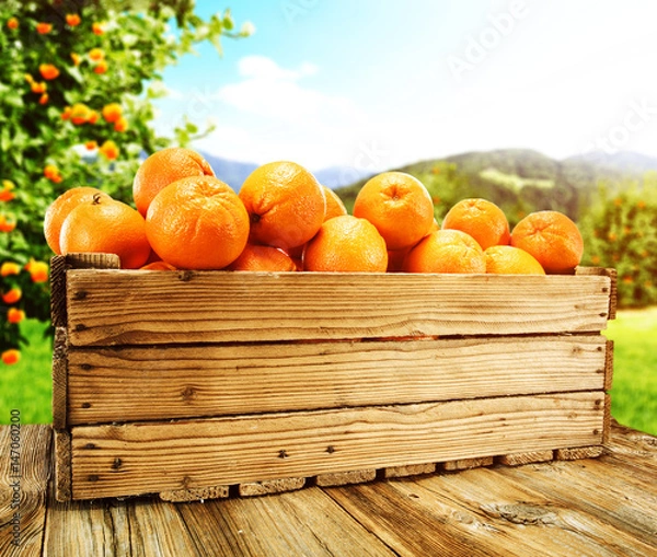 Fototapeta orange space 