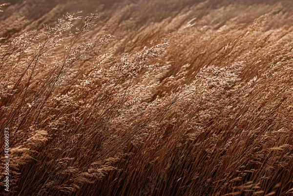 Fototapeta Golden Wheat Field in Wind: Capture the essence of autumn, the golden wheat field dances gracefully in the wind, soft golden hues and gentle sway create a scene of tranquility and beauty.