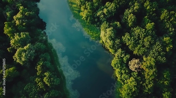 Fototapeta Elevated view of a winding river through lush greenery.