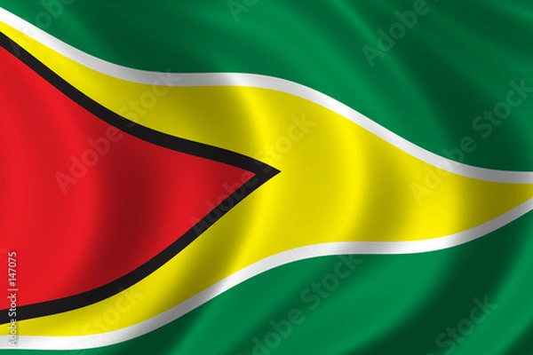 Fototapeta flag of guyana