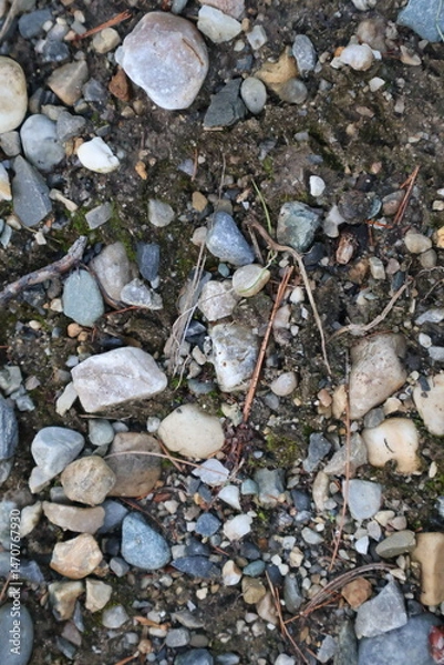 Obraz stones on the river