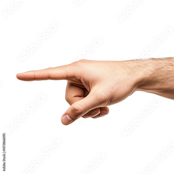 Fototapeta A set of elegant male hands with long fingers gently pointing, isolated on a clean white background