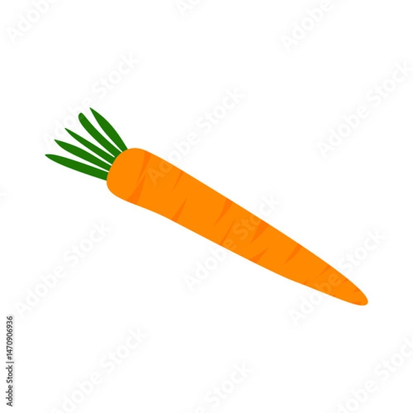 Obraz carrot illustration