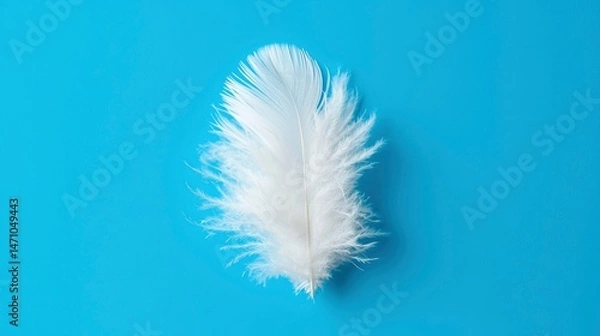 Obraz Single white feather on blue background