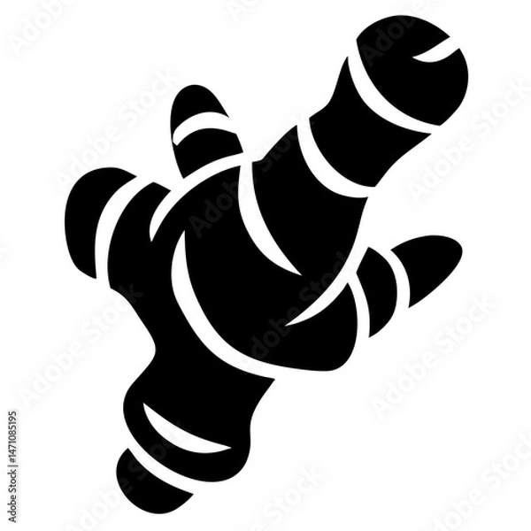 Fototapeta Fresh ginger root vector illustration