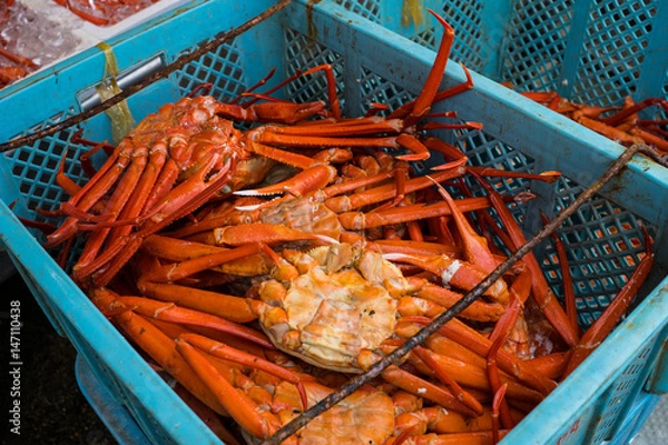 Obraz 水揚げされたカニ