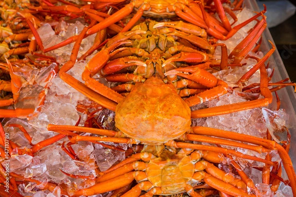 Obraz 紅ズワイガニ