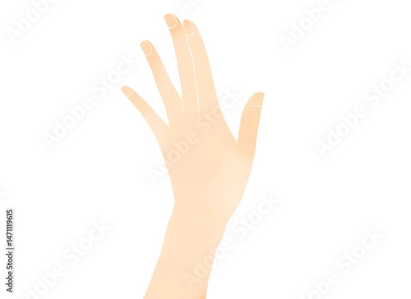 Obraz 水彩風　手を広げた女性の手イラスト